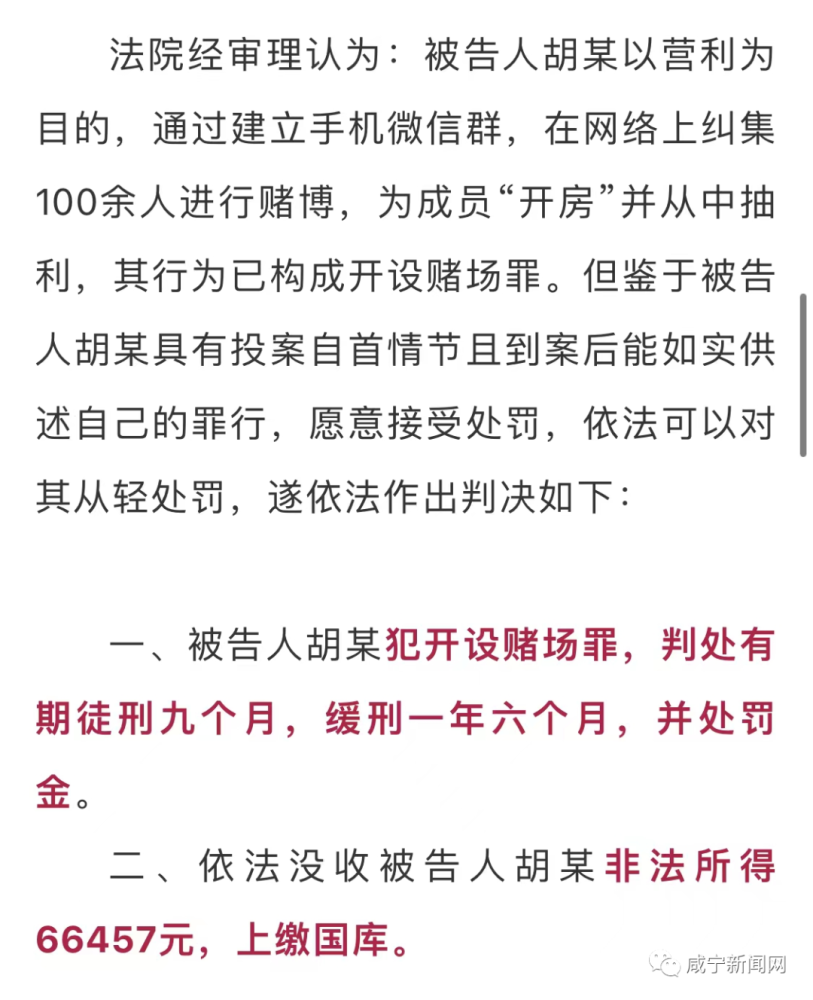 澳门正版资料全年免费公开精准资料一,澳门正版资料全年免费公开精准资料一，犯罪与法律的博弈