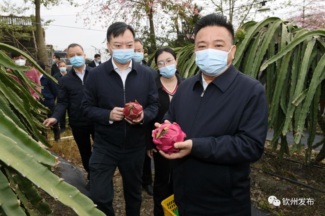 新澳精选资料免费提供,新澳精选资料免费提供，助力学习与发展的强大资源