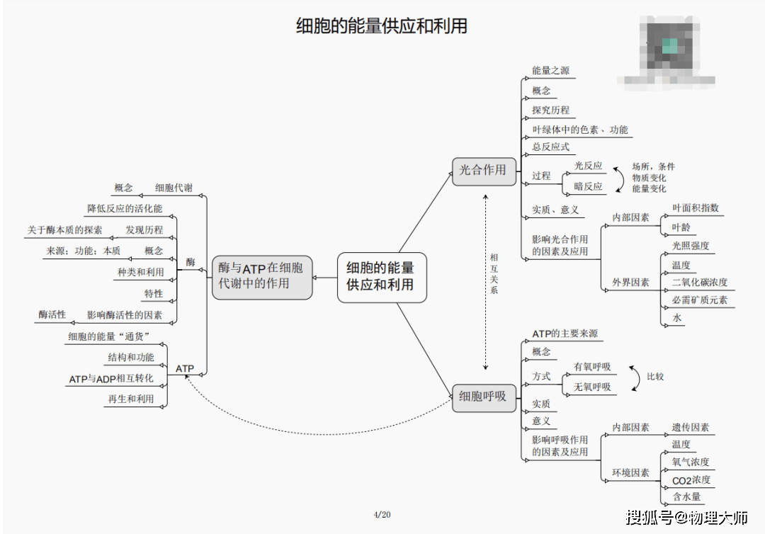 白小姐三肖三期必出一期开奖哩哩,白小姐三肖三期必出一期开奖哩哩——揭秘彩票神话与理性参与