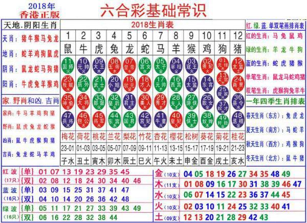 澳门正版资料大全资料生肖卡,澳门正版资料大全资料生肖卡的魅力与探索