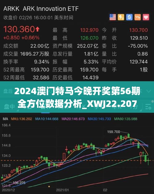 2025澳门特马今晚开什么,澳门特马今晚开什么，探索与预测