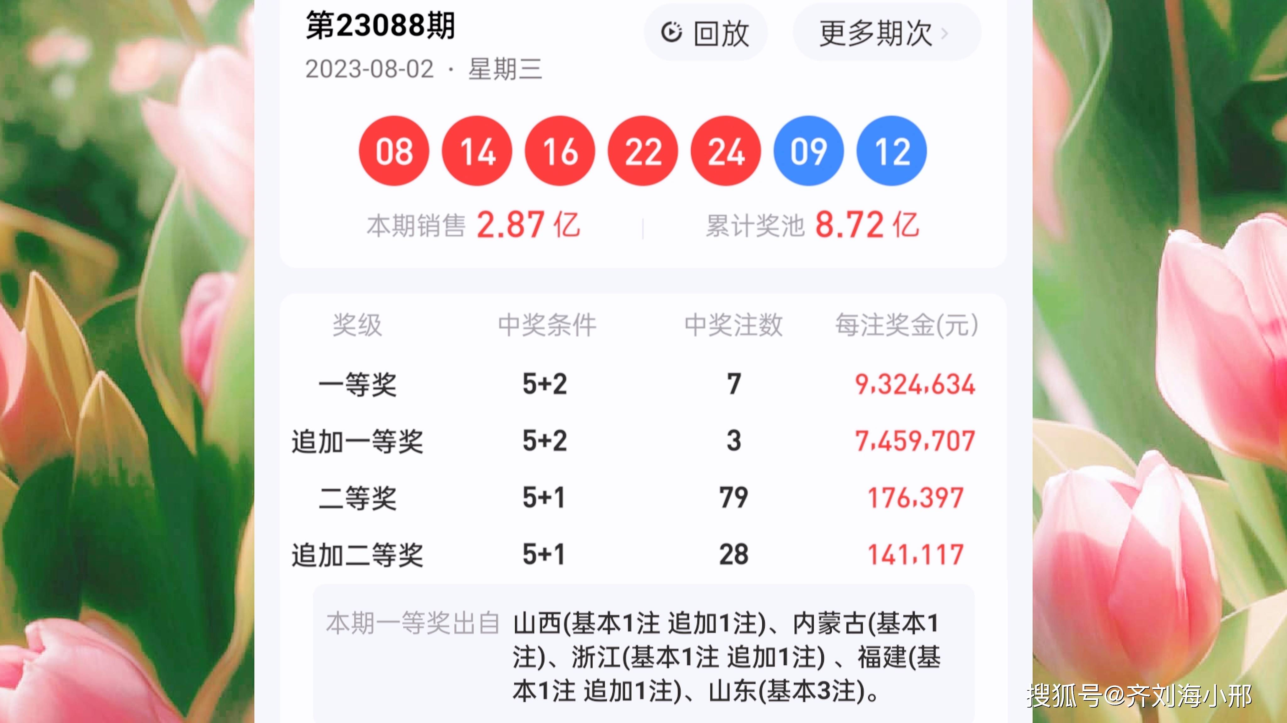 白小姐一肖中期期开奖结果查询,白小姐一肖中期期开奖结果查询，揭秘彩票背后的秘密