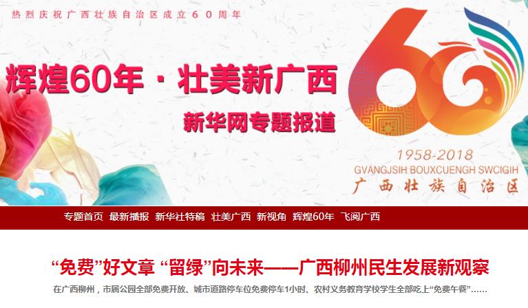 2025新澳正版免费资料大全一一,探索未来，2025新澳正版免费资料大全详解