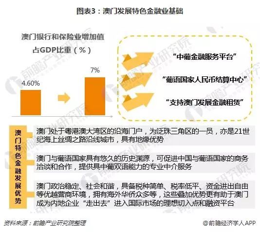 2025澳门特马今晚开什么,澳门特马今晚开什么，探索随机性与预测边界