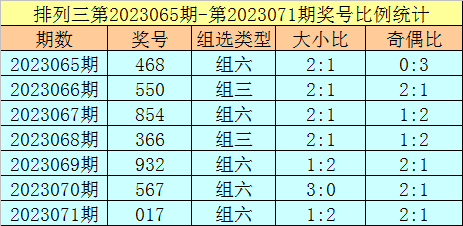 2025年2月8日 第31页