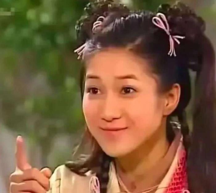 2004年澳门天天开好彩大全,澳门天天开好彩，回顾与分析2004年的精彩瞬间