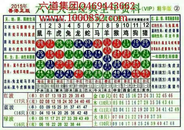 2025十二生肖49码表071期 08-09-10-15-27-35C：15,探索十二生肖与数字世界的神秘联系——以2025十二生肖49码表071期 08-09-10-15-27-35C，15为中心